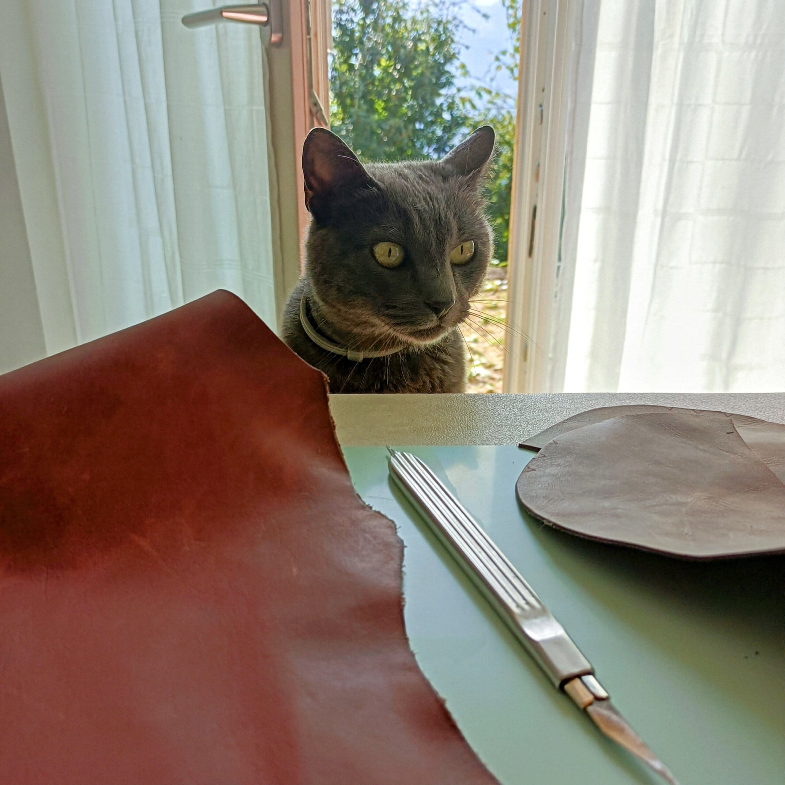 IMG_20240724_090201~2